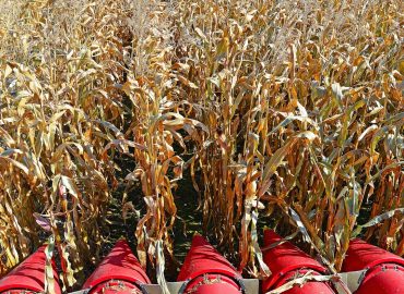 All States Ag Parts – Salem, SD – Salvage yard in Salem SD