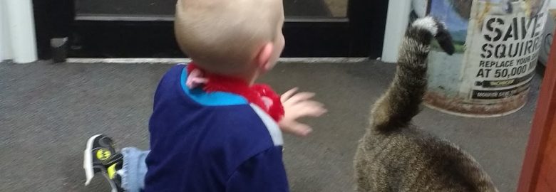 American Discount Automotive – Auto repair shop in New Castle DE