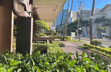Auto Hawaii – Used car dealer in Honolulu HI
