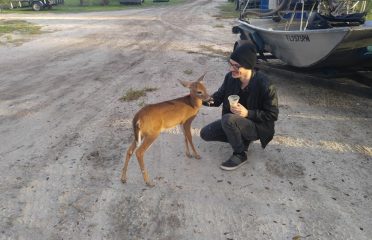 B & B On Road Auto Repair – Auto repair shop in Kenansville FL