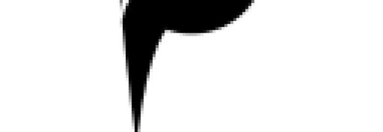 Clinton Hill Garage – Auto repair shop in Brooklyn NY