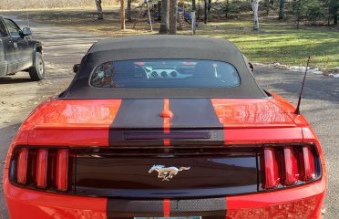 Crow Wing Auto Body – Auto body shop in Pequot Lakes MN