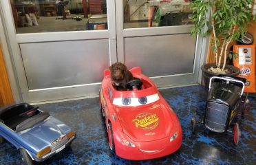 Jerry Bergeman & Sons – Auto repair shop in Idaho Falls ID