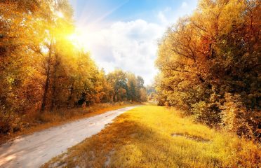 Main Street Tire & Auto – Auto repair shop in Palmer MA