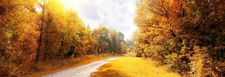 Main Street Tire & Auto – Auto repair shop in Palmer MA