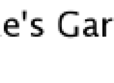 Mike’s Garage – Chauffeur service in Burlington KY