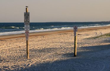 Steve Johnson Automotive – Tire shop in Fernandina Beach FL