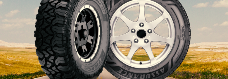T & T Tire and Auto – Auto repair shop in Ray ND
