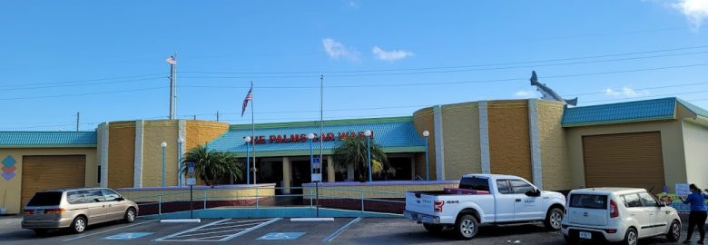 The Palms Car Wash – Car wash in Sebring FL