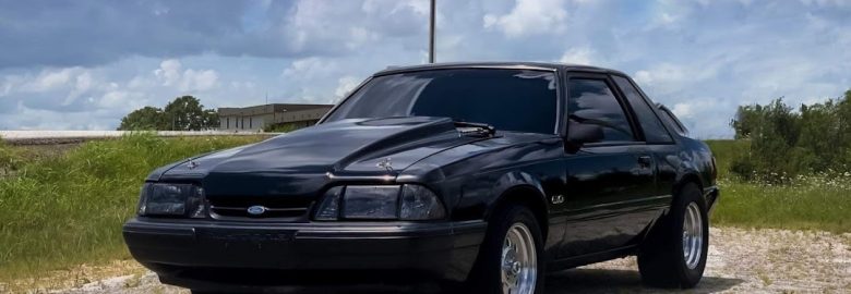 The Tint Shop – Window tinting service in Rolla MO