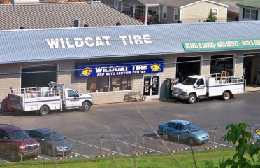 Wildcat Tire and Auto – Auto repair shop in Hagerhill KY